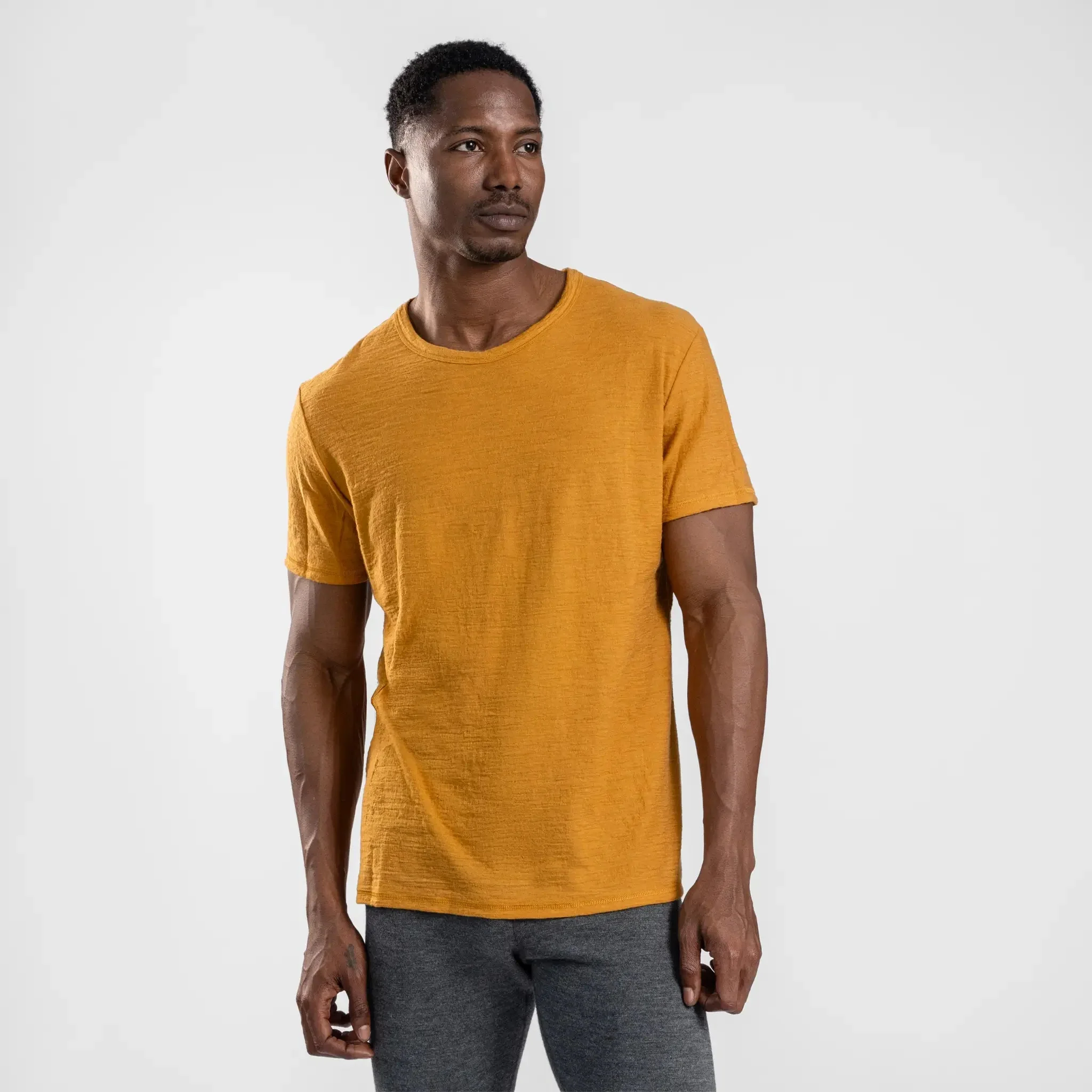 3 Pack Bundle - Men's Alpaca Wool T-Shirt: 160 Ultralight Crew Neck - Image 62