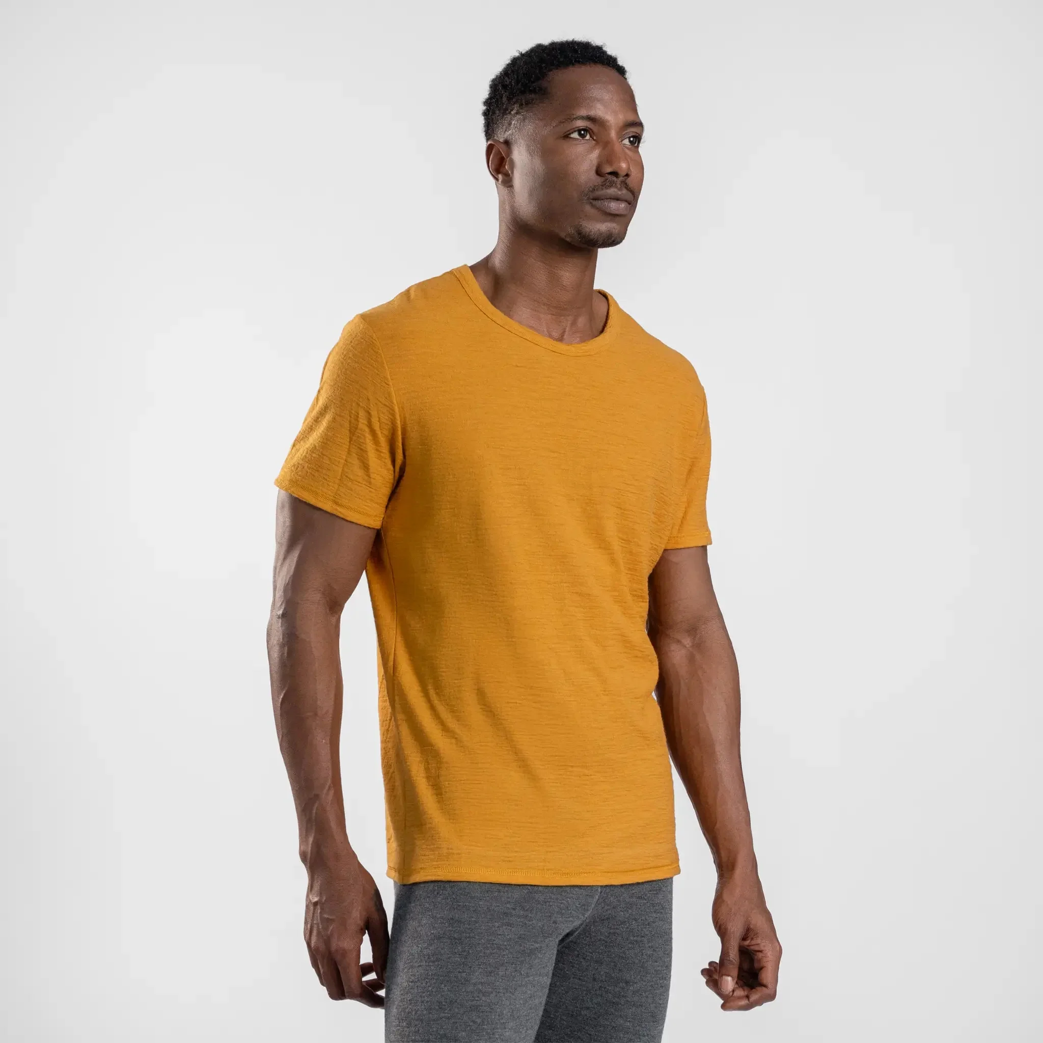 3 Pack Bundle - Men's Alpaca Wool T-Shirt: 160 Ultralight Crew Neck - Image 59