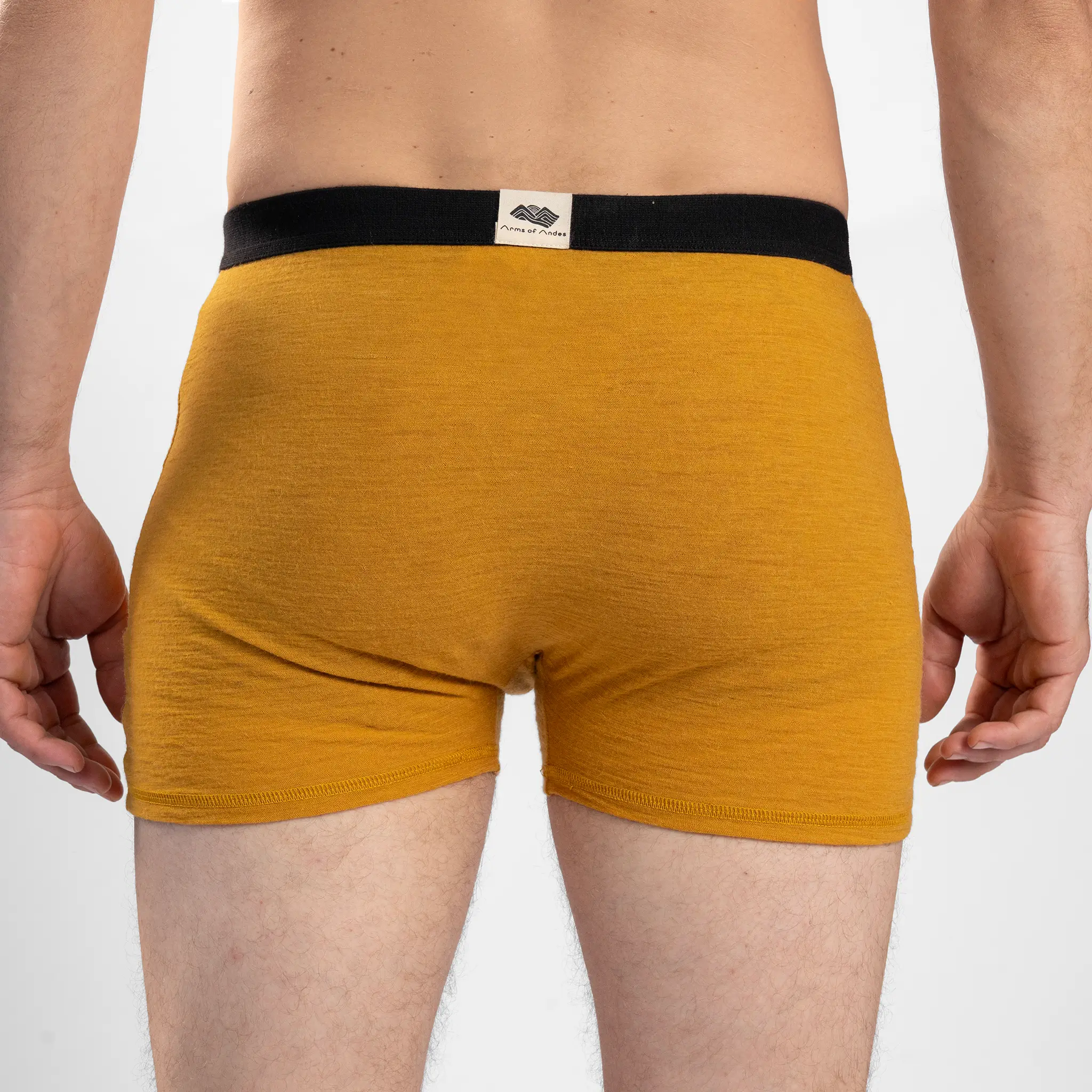 Men's Alpaca Wool Boxer Briefs: 160 Ultralight - Image 24