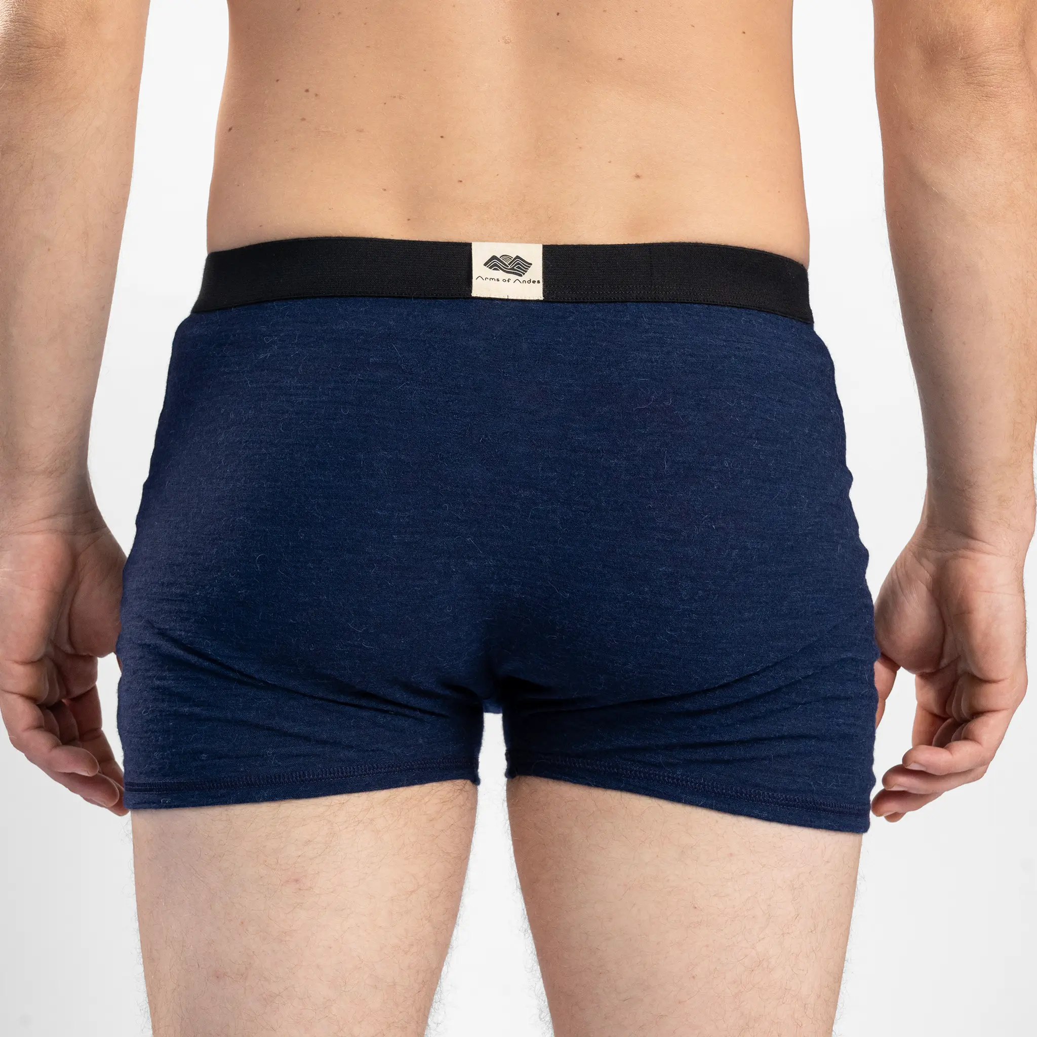 Men's Alpaca Wool Boxer Briefs: 160 Ultralight - Image 40