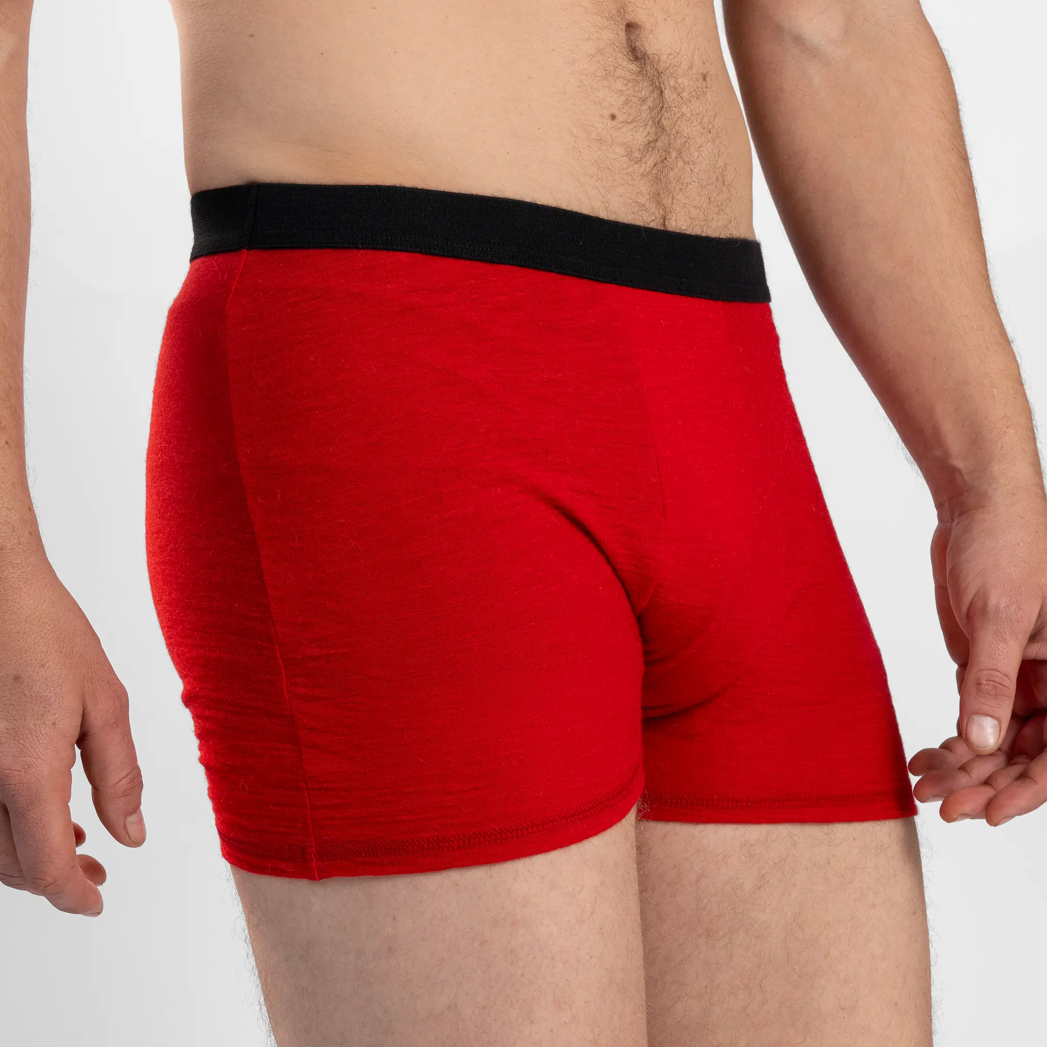 Men's Alpaca Wool Boxer Briefs: 160 Ultralight - Image 43