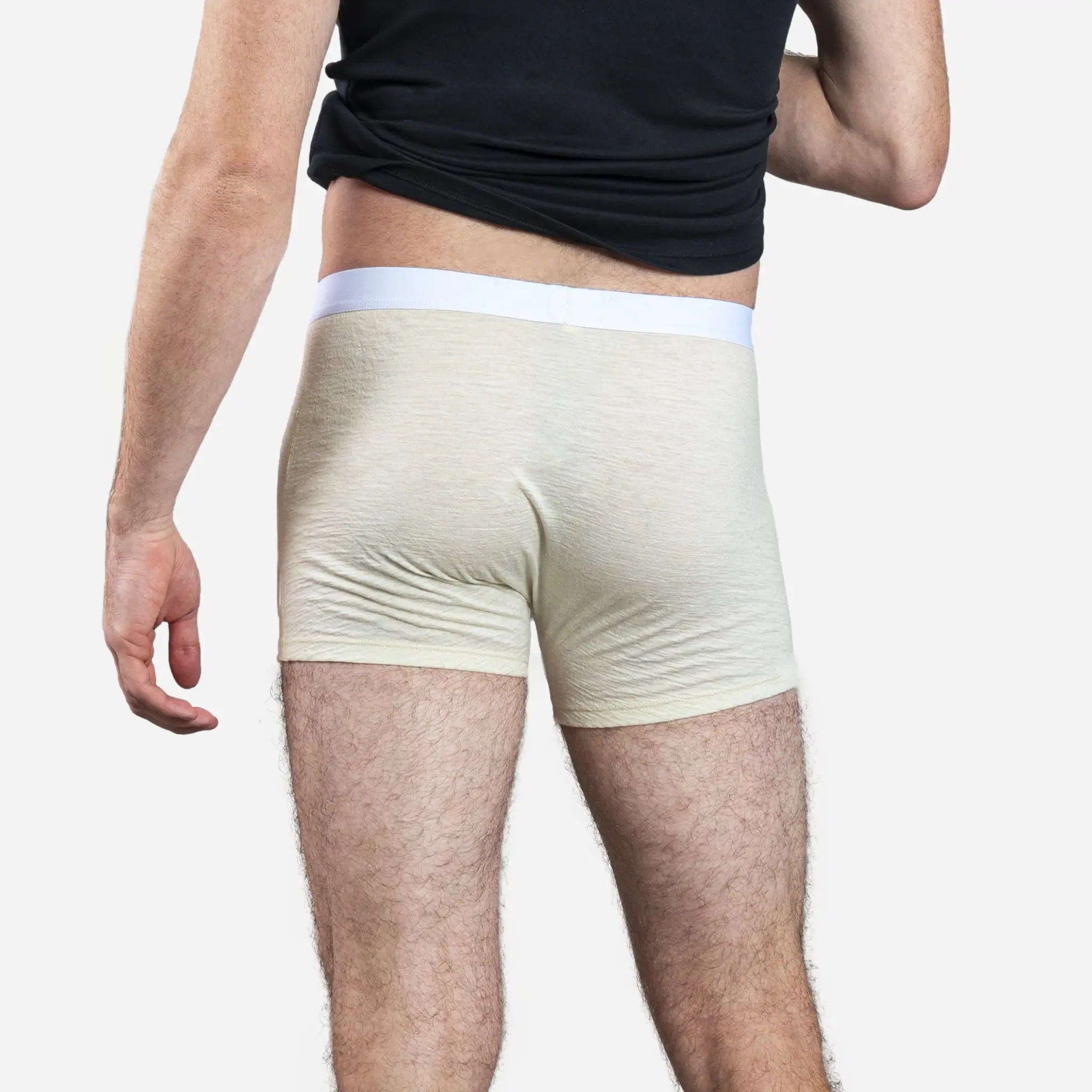 Men's Alpaca Wool Boxer Briefs: 160 Ultralight - Image 7