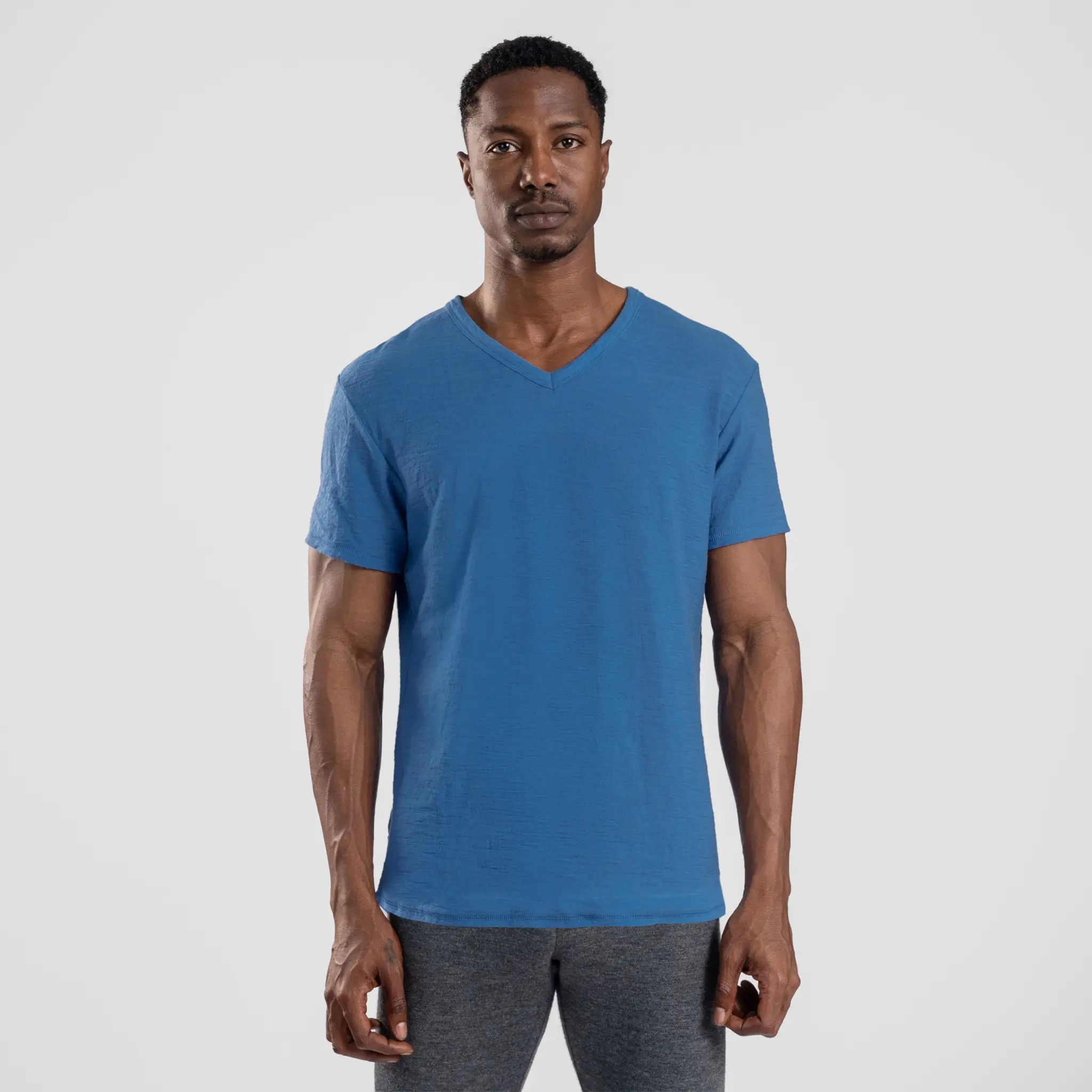 Men's Alpaca Wool T-Shirt: 160 Ultralight V-Neck - Image 13