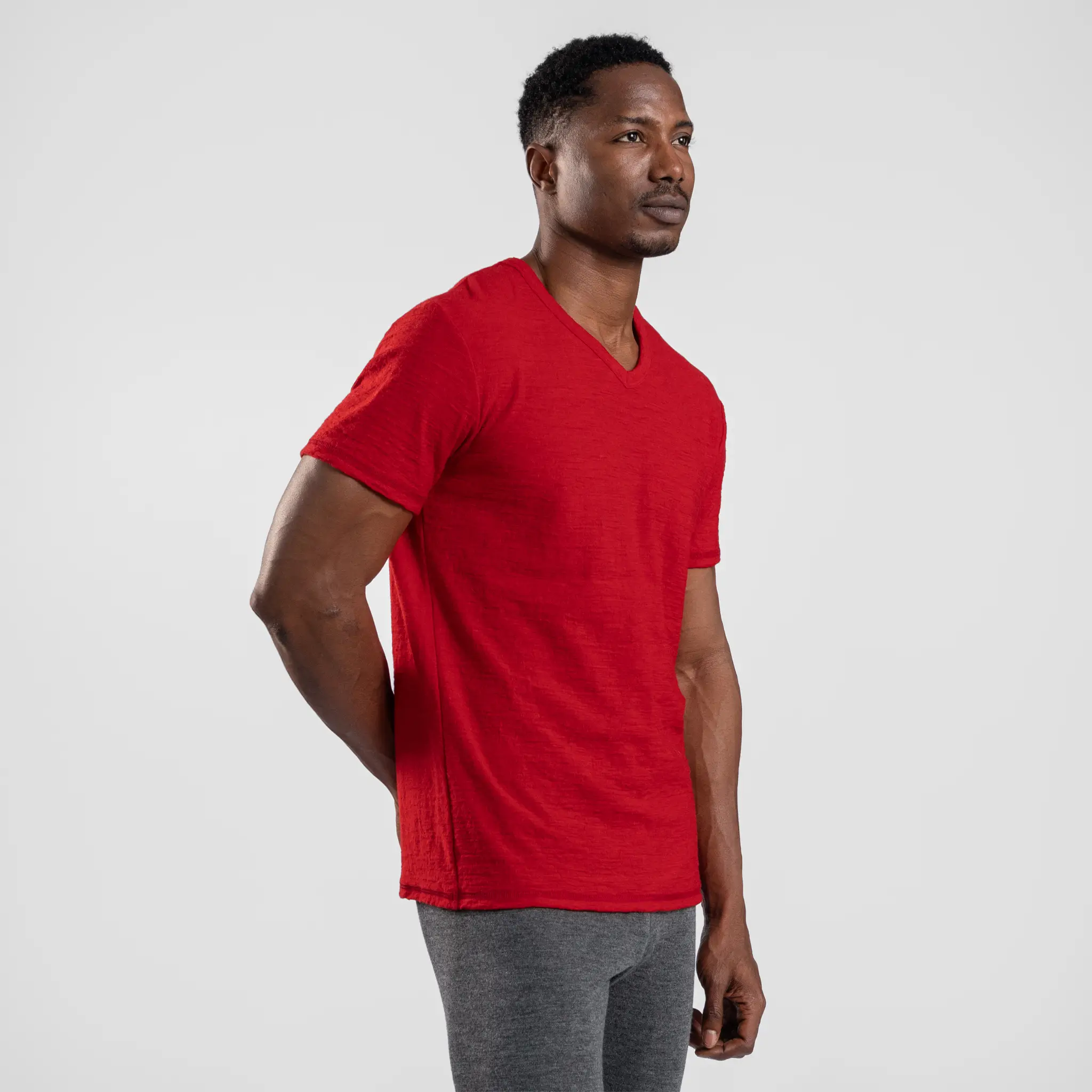 Men's Alpaca Wool T-Shirt: 160 Ultralight V-Neck - Image 33