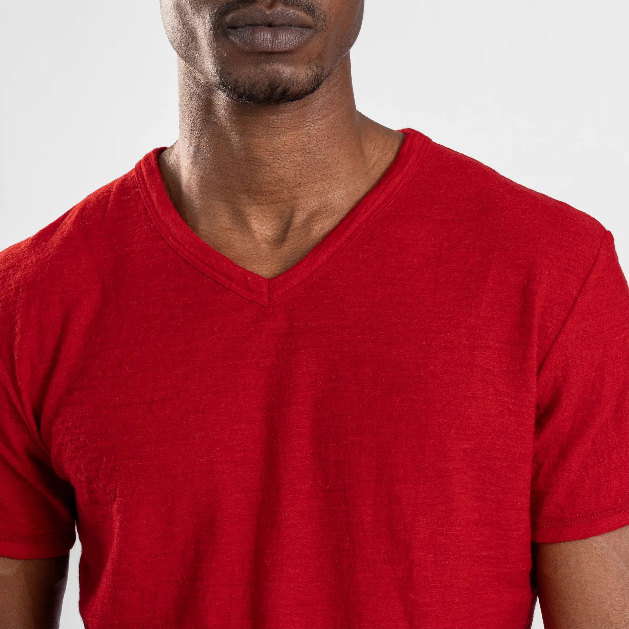 Men's Alpaca Wool T-Shirt: 160 Ultralight V-Neck - Image 35